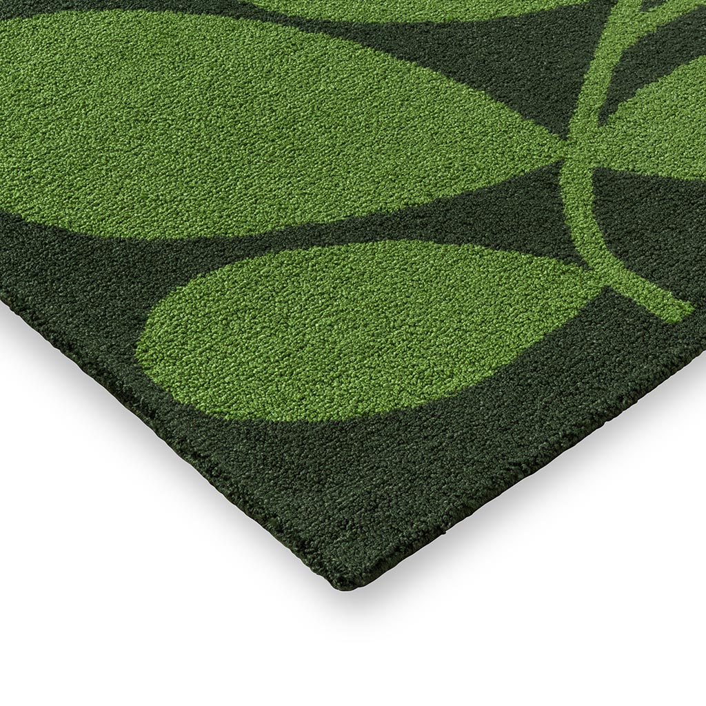Dywan zewnętrzny Sycamore Dill | Rozmiar: 250 x 350 cm
