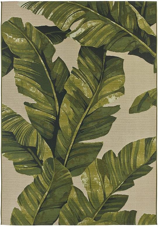 Dywan Amazzonia 609X | Rozmiar: 300 x 400 cm
