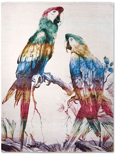 Dywan Two Parrots Rainbow on White