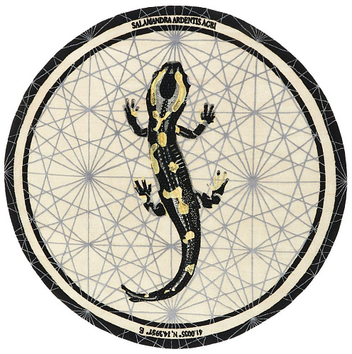 Dywan Salamandra Ardentis Agri