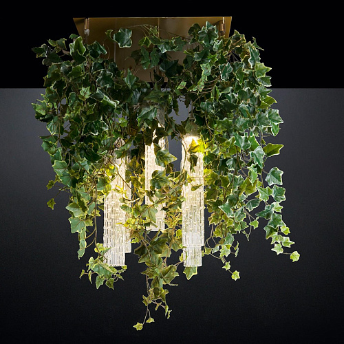 Żyrandol Ivy