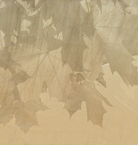 Tapeta Creative Leaves