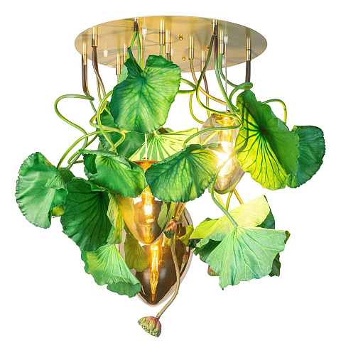 Okrągły żyrandol Dichondra