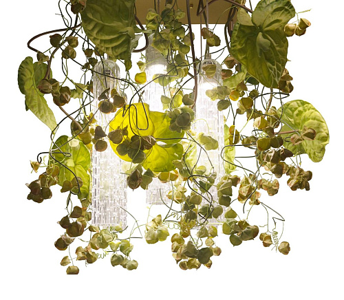 Żyrandol Physalis Anthurium