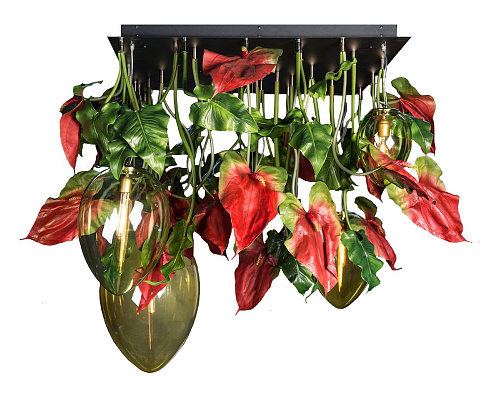 Ciemny żyrandol Anthurium
