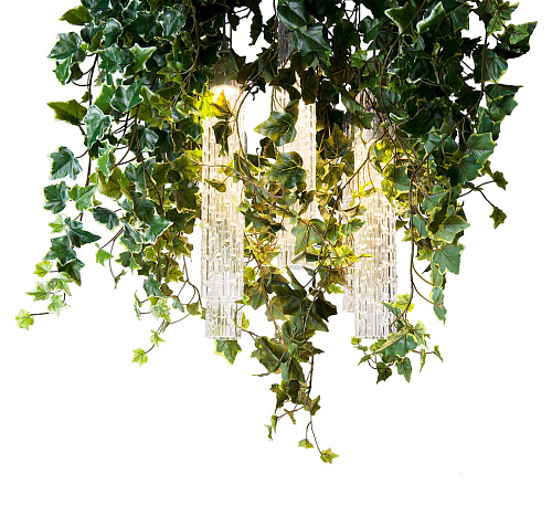 Żyrandol Ivy