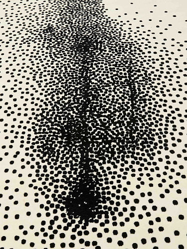 Dywan Particles