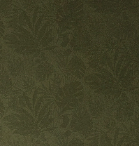 Tapeta Jungle