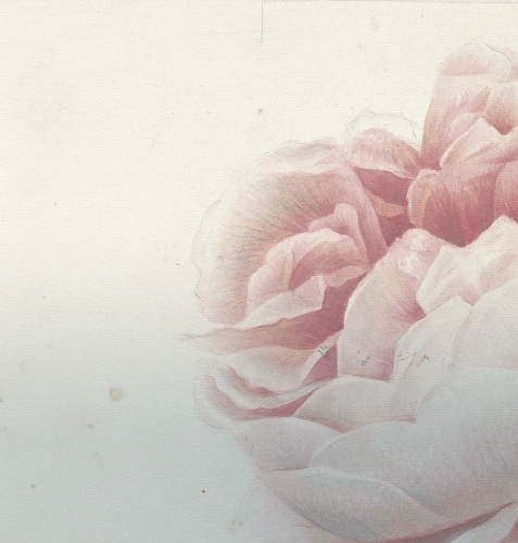 Tapeta Romantic Flowers