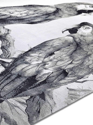 Dywan Two Parrots B&W on White