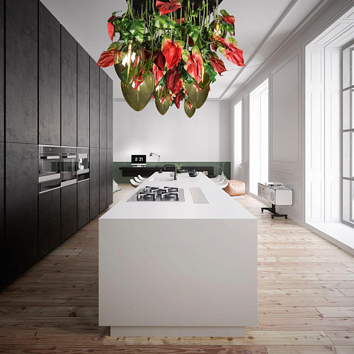 Ciemny żyrandol Anthurium