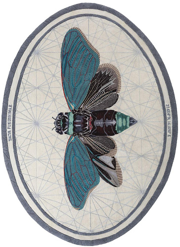 Dywan Tacua