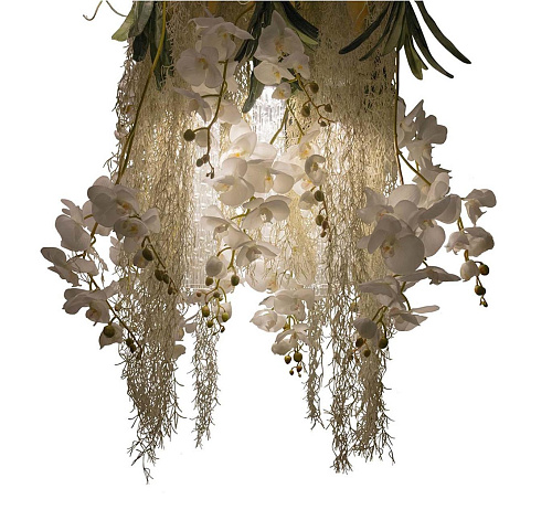 Żyrandol Phalaenopsis