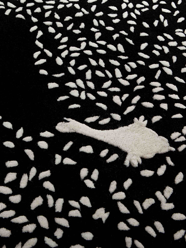 Dywan Looking For Seeds
