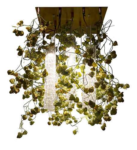 Żyrandol Physalis