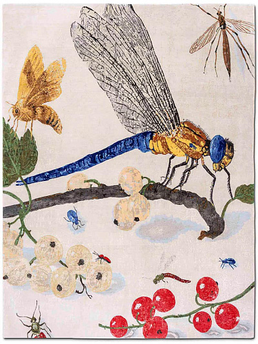 Dywan Dragonfly Original on GreyWhite